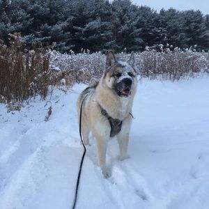 Meet your Posher, Mariah